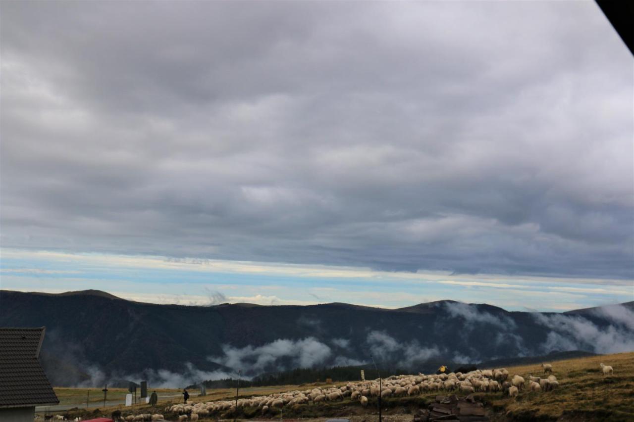 Cabana Transalpina รานกา ภายนอก รูปภาพ
