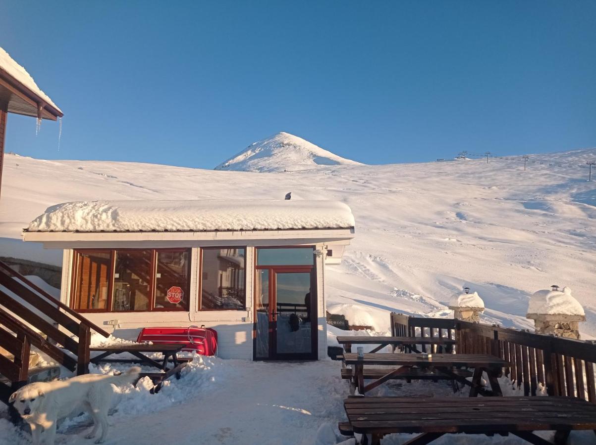Cabana Transalpina รานกา ภายนอก รูปภาพ